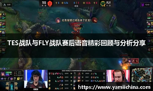 TES战队与FLY战队赛后语音精彩回顾与分析分享