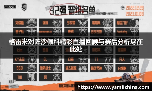 格雷米对阵沙佩科精彩直播回顾与赛后分析尽在此处