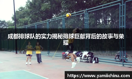 成都排球队的实力揭秘排球巨献背后的故事与荣耀